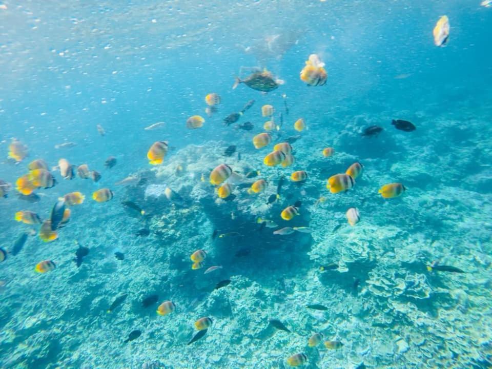 Sealovers' Place Masasa Beach Batangas Eksteriør billede