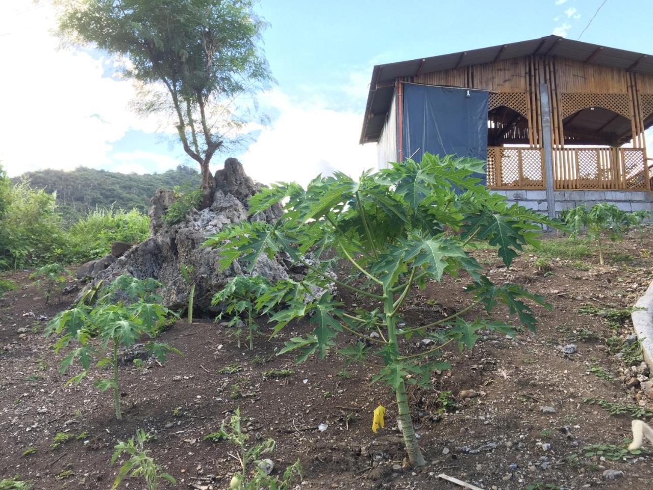 Sealovers' Place Masasa Beach Batangas Eksteriør billede